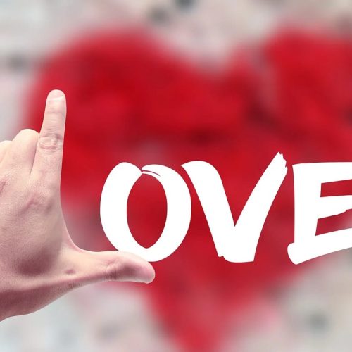 WhatsApp Image 2025-02-21 at 11.14.57