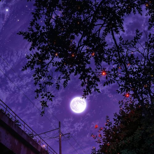 WhatsApp Image 2025-04-14 at 18.57.38