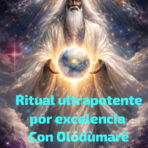 WhatsApp Image 2026-02-03 at 15.08.32